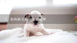 狗狗换毛期间怎么处理