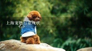 上海宠物行业现状