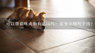 可以带猫咪或狗狗出国吗？需要办哪些手续？