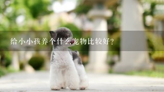 给小小孩养个什么宠物比较好？