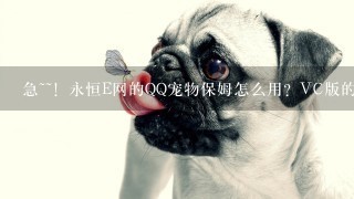 急~~！永恒E网的QQ宠物保姆怎么用？VC版的！