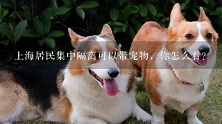 上海居民集中隔离可以带宠物，你怎么看？