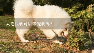 大连快轨可以带宠物吗？