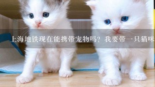 上海地铁现在能携带宠物吗？我要带一只猫咪，放在航空箱里可以吗？