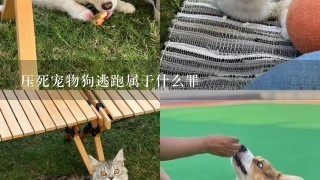 压死宠物狗逃跑属于什么罪