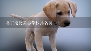 北京宠物美容学校排名榜