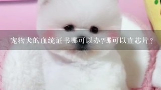 宠物犬的血统证书哪可以办?哪可以直芯片?