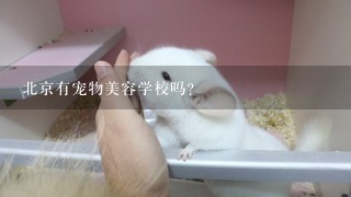 北京有宠物美容学校吗？