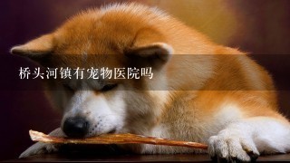 桥头河镇有宠物医院吗