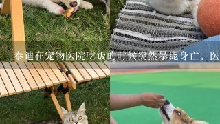 泰迪在宠物医院吃饭的时候突然暴毙身亡。医生都不知道为什么。