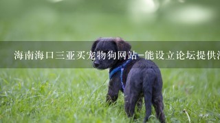 海南海口三亚买宠物狗网站-能设立论坛提供海南狗友交流吗？是否可行？