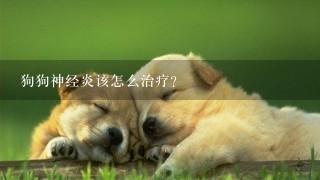 狗狗神经炎该怎么治疗？