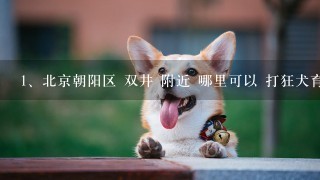 北京朝阳区 双井 附近 哪里可以 打狂犬育苗