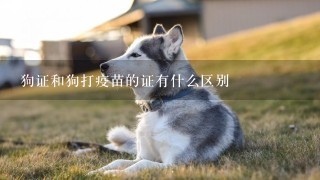 狗证和狗打疫苗的证有什么区别