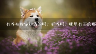 有养袖珍宠物猪的吗？好养吗？哪里有买的哪里有卖的？一只多少钱？