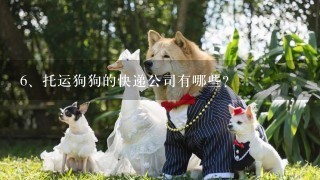 托运狗狗的快递公司有哪些?