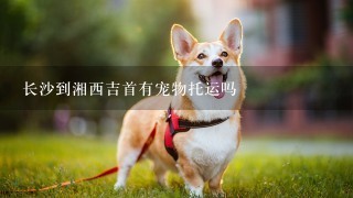 长沙到湘西吉首有宠物托运吗