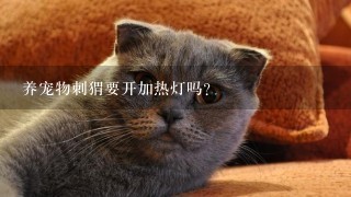 养宠物刺猬要开加热灯吗？