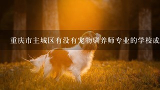 重庆市主城区有没有宠物驯养师专业的学校或者培训班？