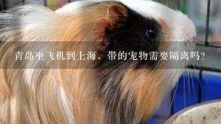 青岛坐飞机到上海，带的宠物需要隔离吗?
