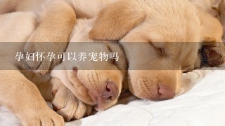 孕妇怀孕可以养宠物吗