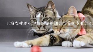 上海农林职业学校的宠物训导与养护专业怎么样？