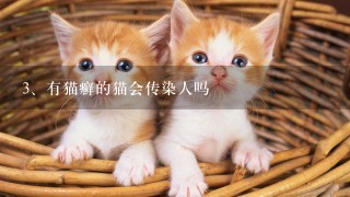 有猫癣的猫会传染人吗