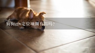 狗狗gps定位项圈有用吗？