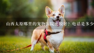 山西太原哪里的宠物医院比较好？电话是多少？