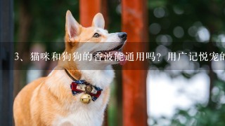 猫咪和狗狗的香波能通用吗？用广记悦宠的