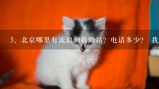 北京哪里有流浪狗救助站？电话多少？ 我想过去做义