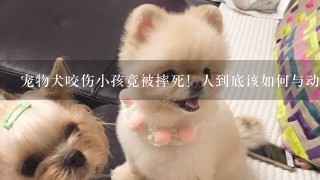 宠物犬咬伤小孩竟被摔死！人到底该如何与动物和平相