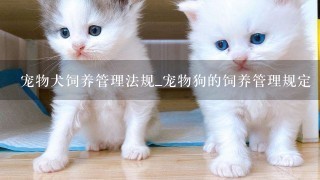 宠物犬饲养管理法规_宠物狗的饲养管理规定