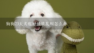 狗狗23天犬瘟神经质乱叫怎么办