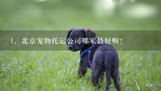 北京宠物托运公司哪家最好啊？