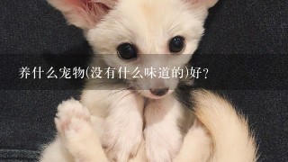 养什么宠物(没有什么味道的)好?