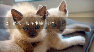 猫咪一般多少钱一只？