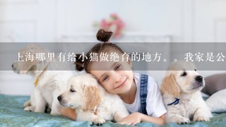 上海哪里有给小猫做绝育的地方。我家是公猫。价