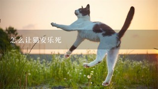 怎么让猫安乐死