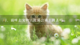 猫咪去宠物店洗澡会染上跳蚤吗