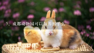 成都动物园可以领养猴子么