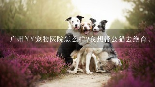 广州YY宠物医院怎么样?我想带公猫去绝育，很多朋友说自己猫带去绝育做手术死掉了，太可怕了