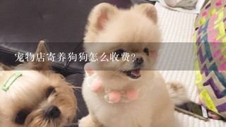 宠物店寄养狗狗怎么收费？