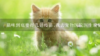 猫咪到底要打几针疫苗,我去宠物医院医生说猫要打八针疫苗真的需要吗