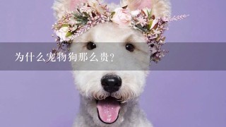 为什么宠物狗那么贵?