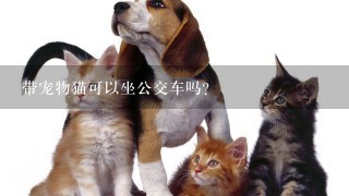 带宠物猫可以坐公交车吗？