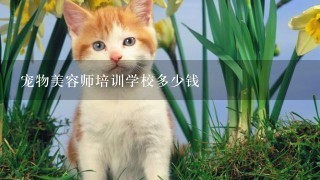 宠物美容师培训学校多少钱