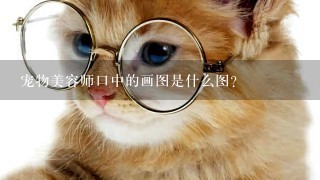 宠物美容师口中的画图是什么图?