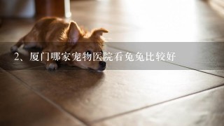 厦门哪家宠物医院看兔兔比较好