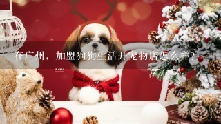 在广州，加盟狗狗生活开宠物店怎么样？